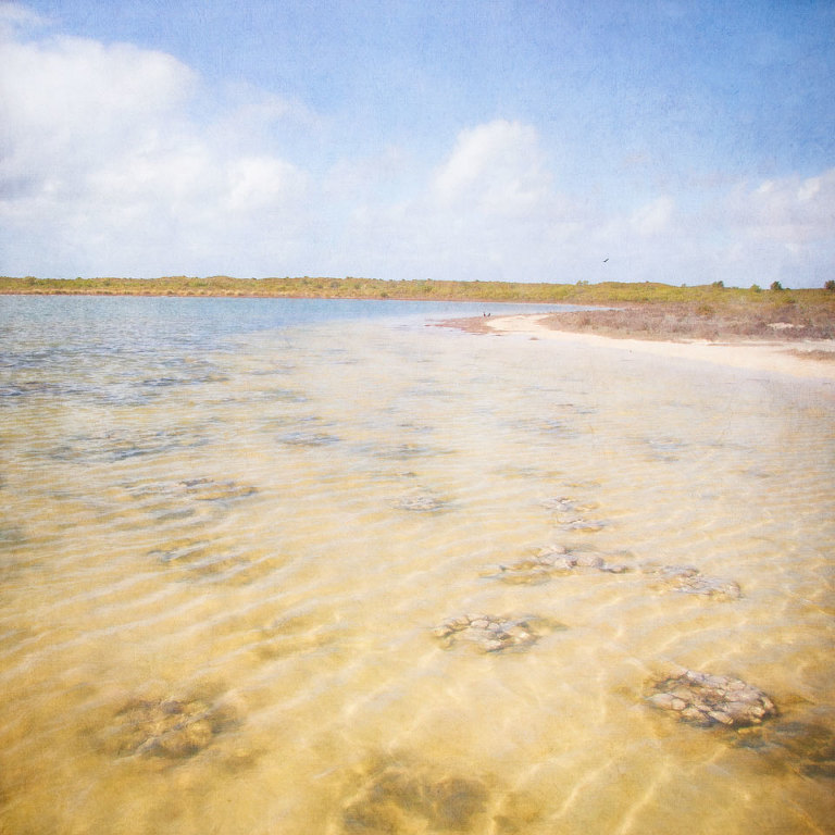 Thrombolites and stromatolites at Lake Thetis, Cervantes, Western Australia